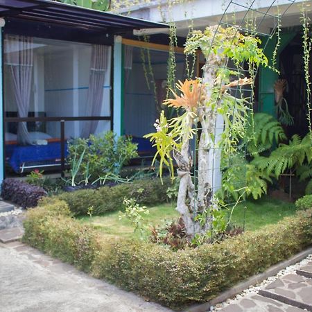 Bromo Ecolodge Extérieur photo